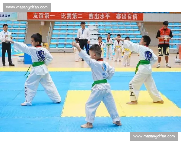 以太拳道比赛为核心的体育文化交流与竞技发展探讨